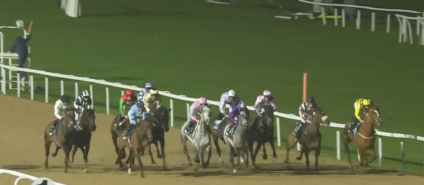 constitution hill horse southwell