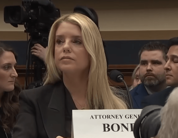 pam bondi plastic surgery