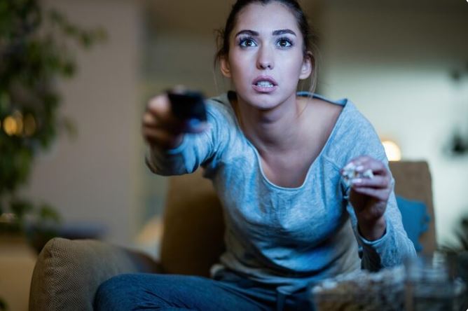 netflix cancels terminator zero