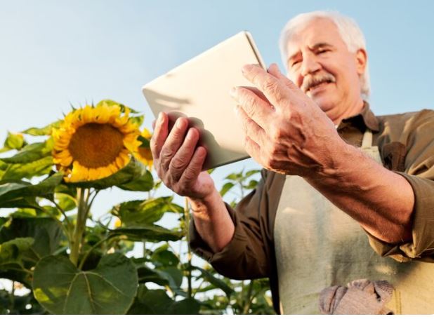 old farmer's almanac spring forecast