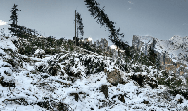 pacific northwest snow storm